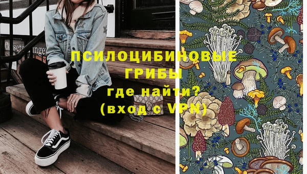 винт Аша
