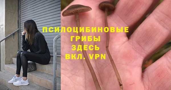 меф Медвежьегорск